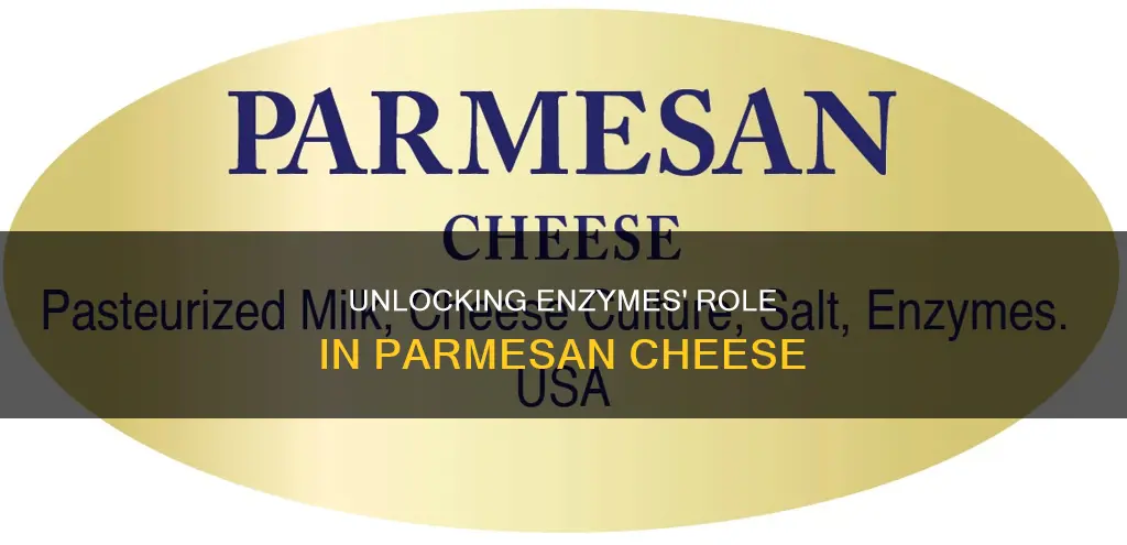 what are enzymes in parmesan cheese