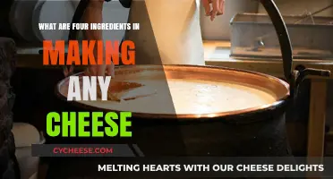 Essential Cheese Ingredients: Milk, Cultures, Coagulants, and Salt Explained