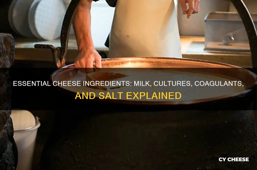 what are four ingredients in making any cheese