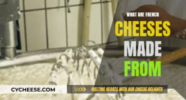 The Magic of French Cheeses: Milk, Mold, and Bacteria