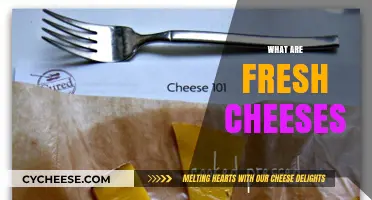 Discovering Fresh Cheeses: Types, Uses, and Their Unique Flavors