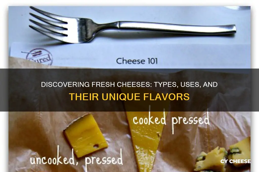 what are fresh cheeses
