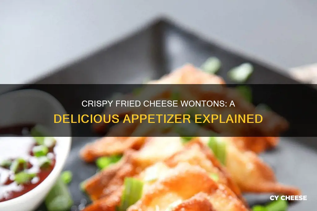 what are fried cheese wontons