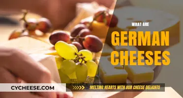 Discover the Rich Flavors of Traditional German Cheeses