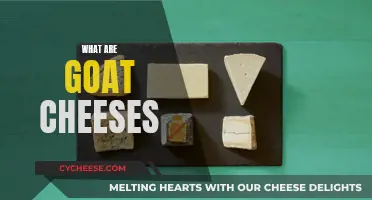 Goat Cheeses: A Beginner's Guide to Varieties and Flavors