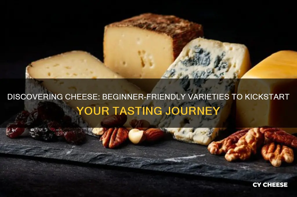 what are good cheeses to start with