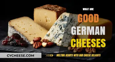 Discover the Best German Cheeses: A Guide to Top Varieties