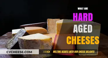 Exploring Hard Aged Cheeses: Rich Flavors, Firm Textures, and Timeless Craftsmanship