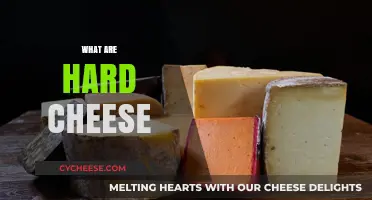 Exploring Hard Cheese: Types, Uses, and Flavor Profiles