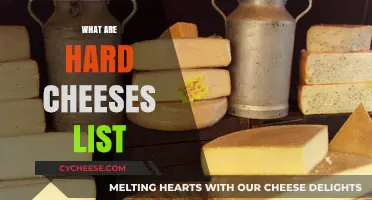 Discover the Best Hard Cheeses: A Comprehensive List and Guide