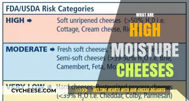 Understanding High Moisture Cheeses: Types, Uses, and Storage Tips