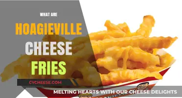 Discover Hoagieville Cheese Fries: A Delicious, Crispy, Cheesy Delight