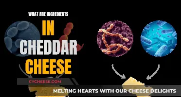 Unveiling Cheddar's Secrets: A Journey Through Its Tasty Ingredients