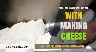 Common Cheese-Making Challenges: Troubleshooting Curds, Cultures, and Coagulation Issues