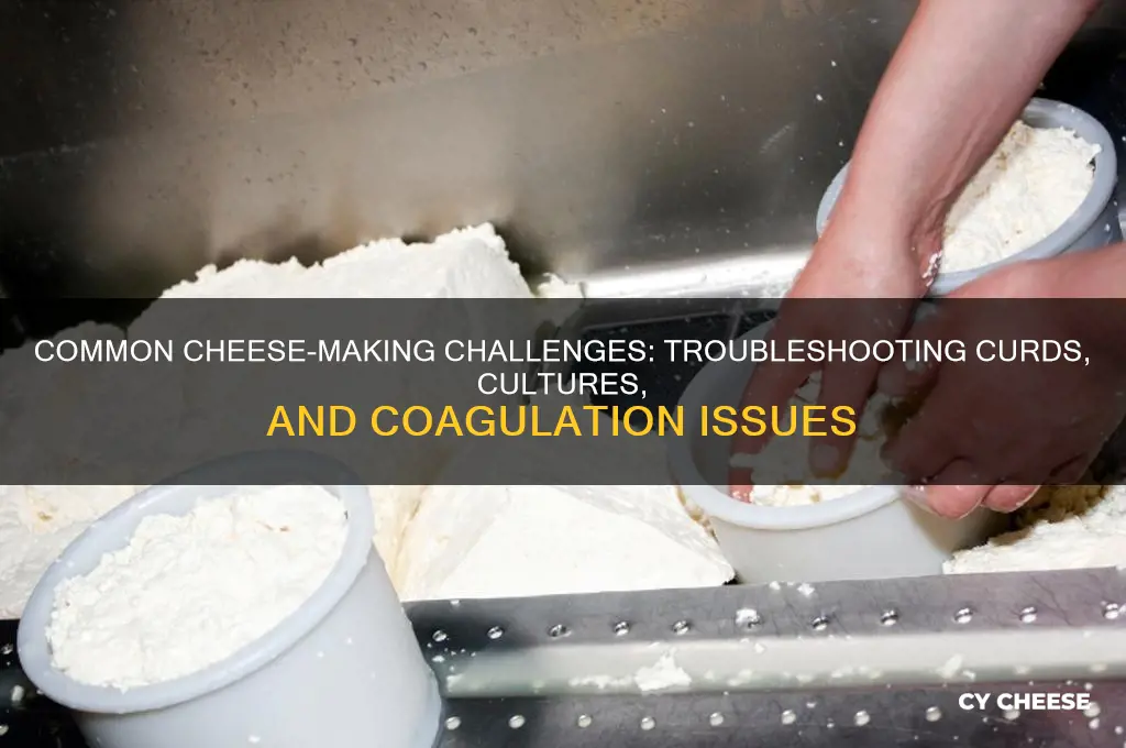 what are issues that occure with making cheese