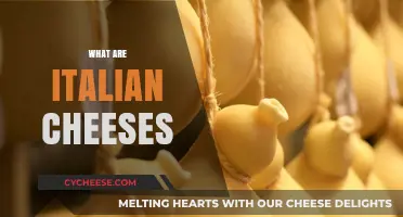 Exploring Italy's Rich Cheese Heritage: Types, Flavors, and Traditions