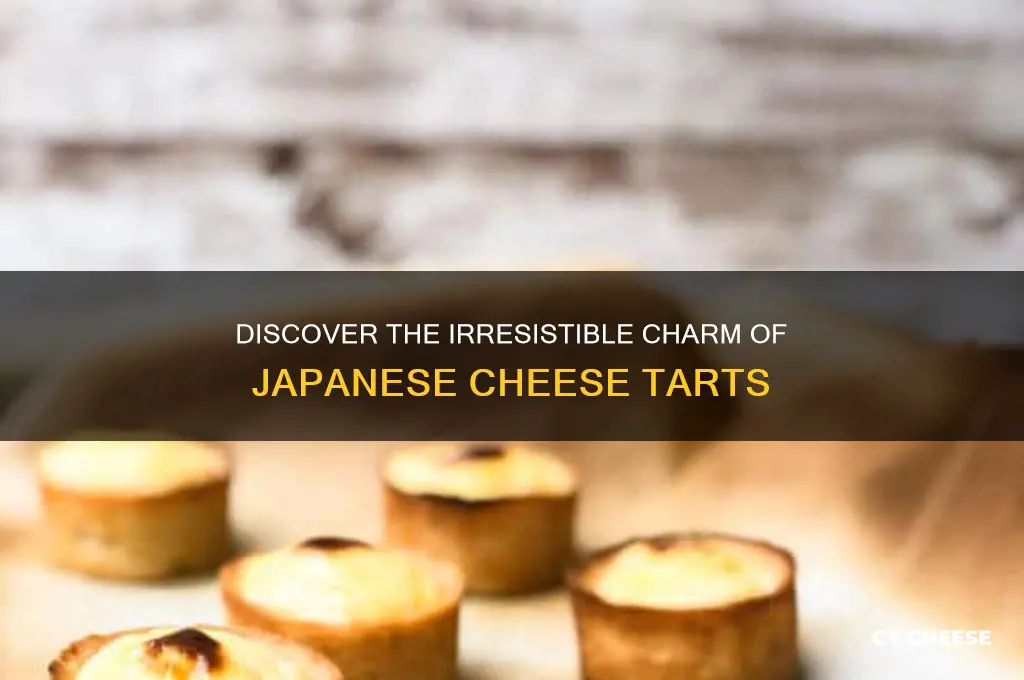 what are japanese cheese tarts