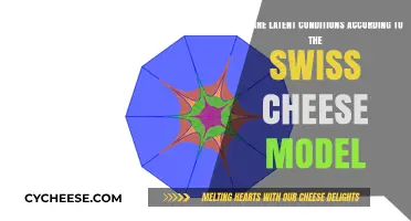 Latent Hazards: Understanding the Swiss Cheese Model's Holes