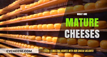 Exploring the Rich Flavors and Aging Process of Mature Cheeses