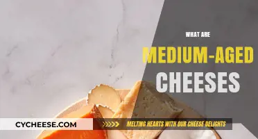 Exploring Medium-Aged Cheeses: Flavors, Textures, and Aging Process