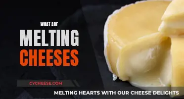 Cheeses That Melt: The Ultimate Guide