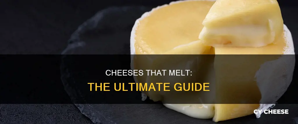 what are melting cheeses