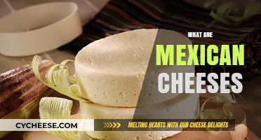 Exploring the Rich Flavors of Authentic Mexican Cheeses