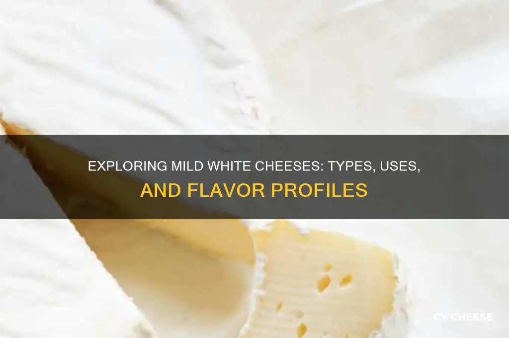 what are mild white cheeses