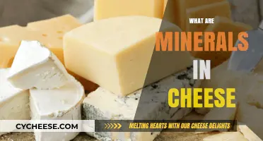 Understanding the Role of Minerals in Cheese Nutrition and Flavor
