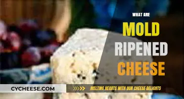 Discovering Mold-Ripened Cheese: Types, Flavors, and Aging Process