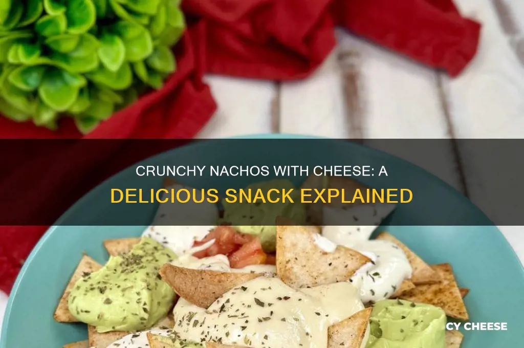 what are nachos with cheese