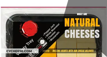 Exploring Natural Cheeses: Unprocessed, Traditional, and Artisan Varieties
