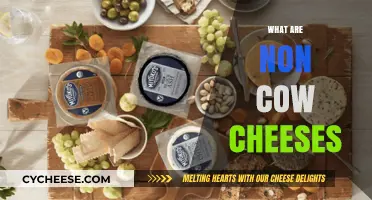 Exploring Non-Cow Cheeses: Unique Varieties Beyond Traditional Dairy
