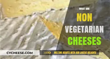 Exploring Non-Vegetarian Cheeses: Animal-Derived Ingredients and Varieties