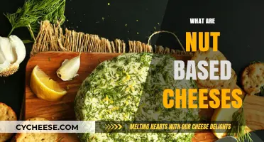 Discover Nut-Based Cheeses: Creamy, Dairy-Free Alternatives for Plant-Based Diets