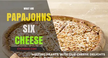Papa John's Six Cheese Pizza: A Cheesy Delight Explained