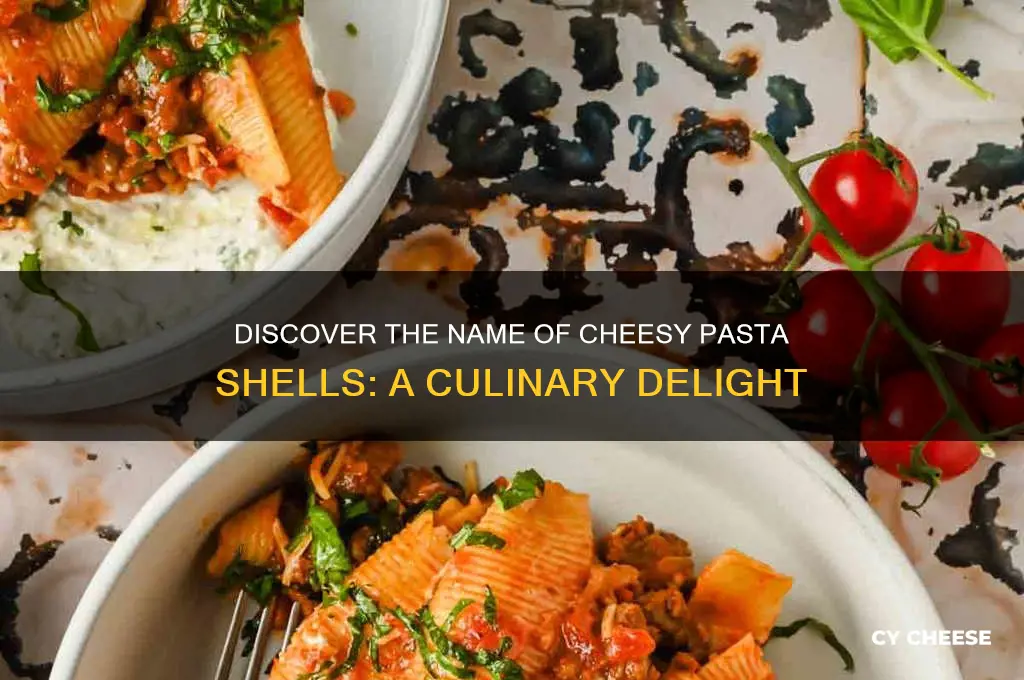 what are pasta shells filled with cheese called