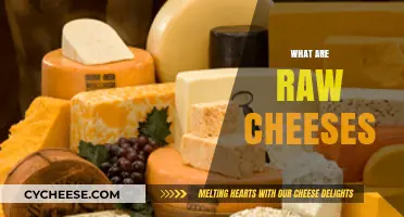Discovering Raw Cheeses: Unpasteurized, Artisanal, and Flavorful Dairy Delights