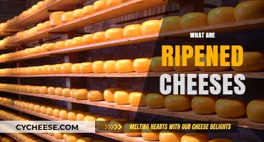 Exploring Ripened Cheeses: Types, Aging Process, and Flavor Profiles
