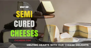 Exploring Semi-Cured Cheeses: Texture, Flavor, and Aging Process