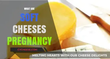 Soft Cheeses and Pregnancy: What Expecting Moms Need to Know