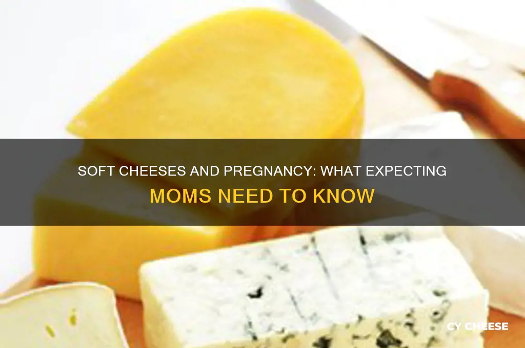 what are soft cheeses pregnancy