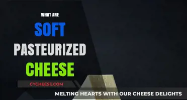 Understanding Soft Pasteurized Cheese: Types, Benefits, and Culinary Uses