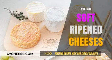 Exploring Soft Ripened Cheeses: Creamy, Rich, and Irresistible Delights