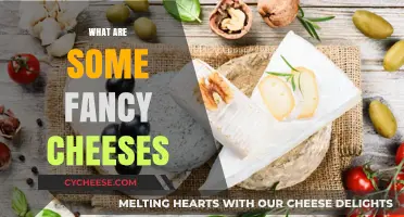 Indulge in Decadence: Exploring the World's Most Fancy Cheeses