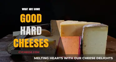 Discover the Best Hard Cheeses for Flavorful Culinary Adventures