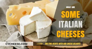 Discover the Rich Flavors of Authentic Italian Cheeses