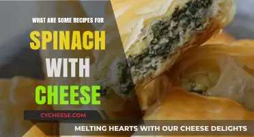 Delicious Spinach and Cheese Recipes to Elevate Your Meals