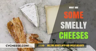 Exploring Pungent Delights: A Guide to the World's Smelliest Cheeses