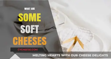 Exploring Creamy Delights: A Guide to Soft Cheese Varieties